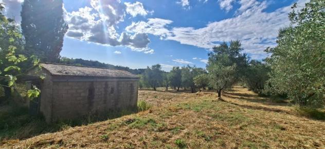 appartamento in vendita a Capannoli
