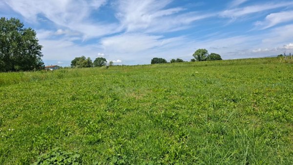 terreno agricolo in vendita a Capannoli
