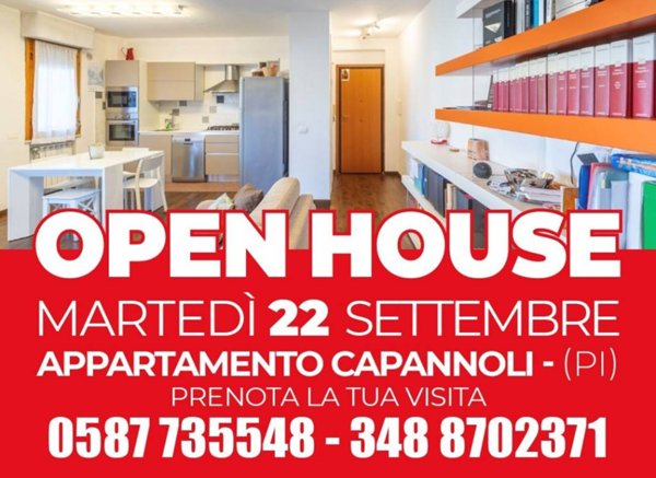 appartamento in vendita a Capannoli