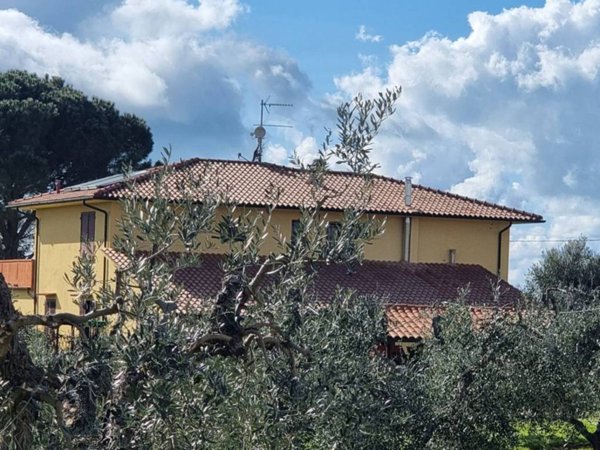 casa indipendente in vendita a Casale Marittimo