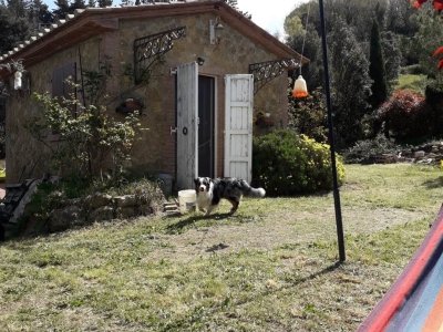 casa indipendente in vendita a Casale Marittimo