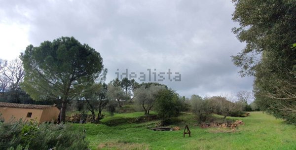 appartamento in vendita a Casale Marittimo