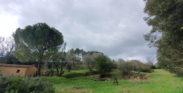 appartamento in vendita a Casale Marittimo