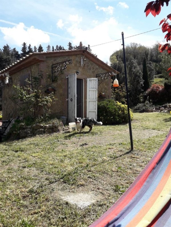 monolocale in vendita a Casale Marittimo