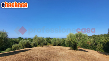 casa indipendente in vendita a Casale Marittimo