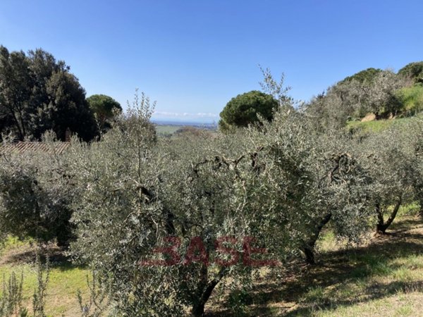 casa indipendente in vendita a Casale Marittimo