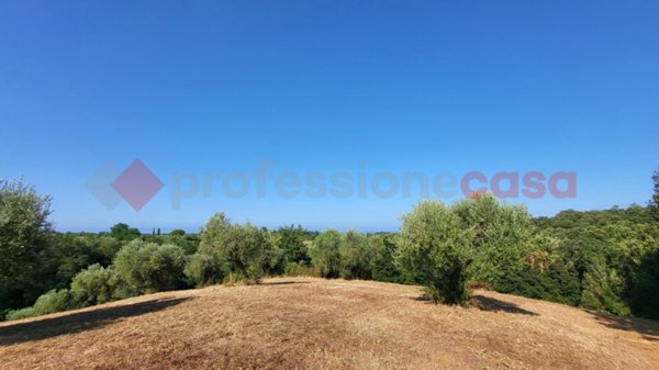 casa indipendente in vendita a Casale Marittimo