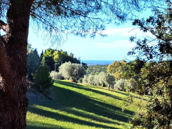 casa indipendente in vendita a Casale Marittimo