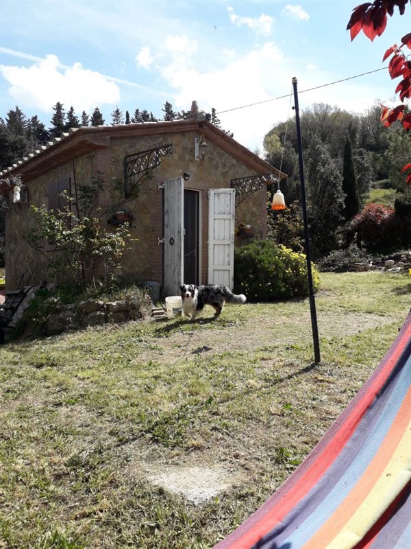 casa indipendente in vendita a Casale Marittimo
