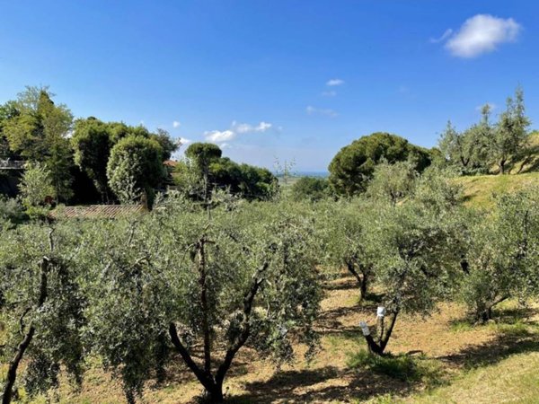 casa indipendente in vendita a Casale Marittimo