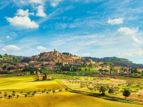 appartamento in vendita a Casale Marittimo