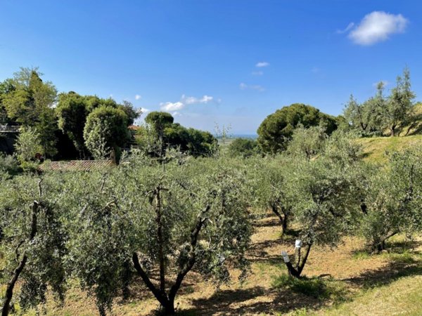 casa indipendente in vendita a Casale Marittimo