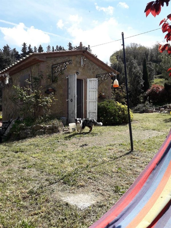 casa indipendente in vendita a Casale Marittimo