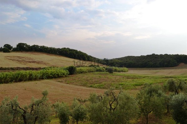 casa indipendente in vendita a Casale Marittimo