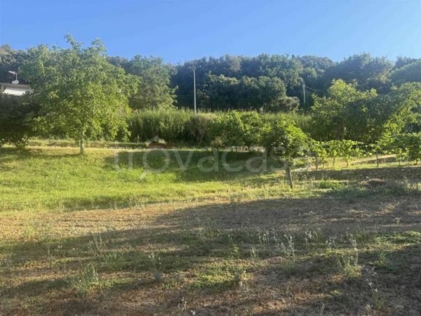 casa indipendente in vendita a Casale Marittimo