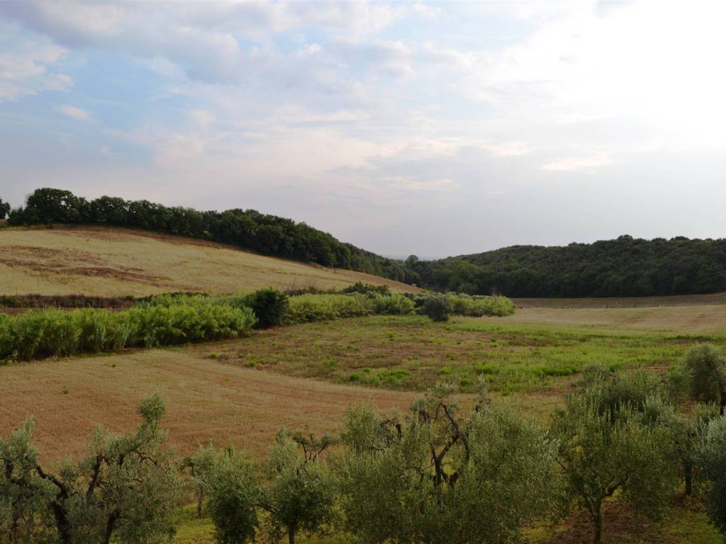 casa indipendente in vendita a Casale Marittimo