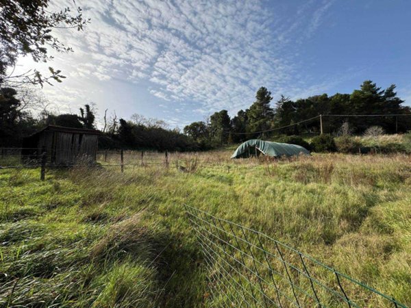 casa indipendente in vendita a Casale Marittimo