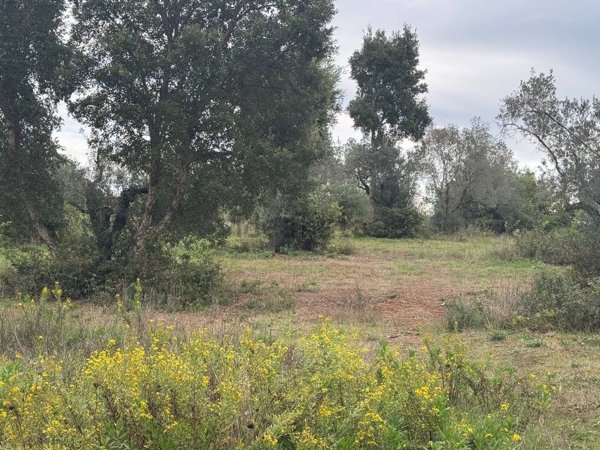 casa indipendente in vendita a Casale Marittimo