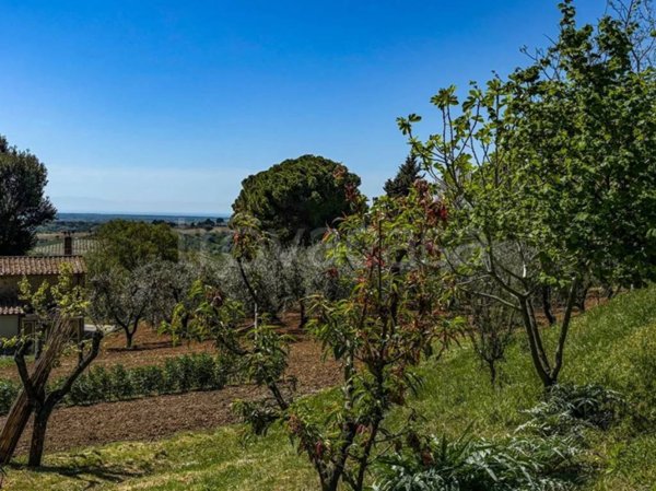 casa indipendente in vendita a Casale Marittimo