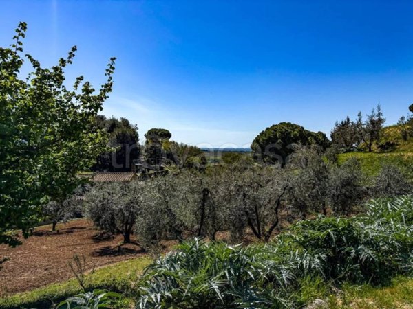 terreno in vendita a Casale Marittimo