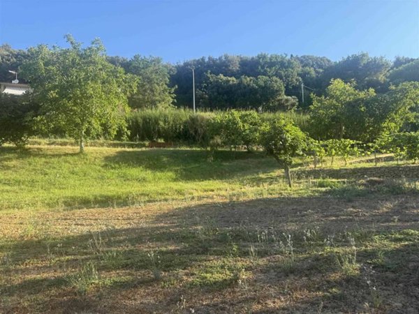 casa indipendente in vendita a Casale Marittimo