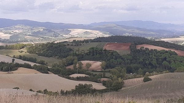 casa indipendente in vendita a Casale Marittimo