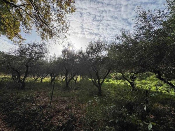 casa indipendente in vendita a Casale Marittimo