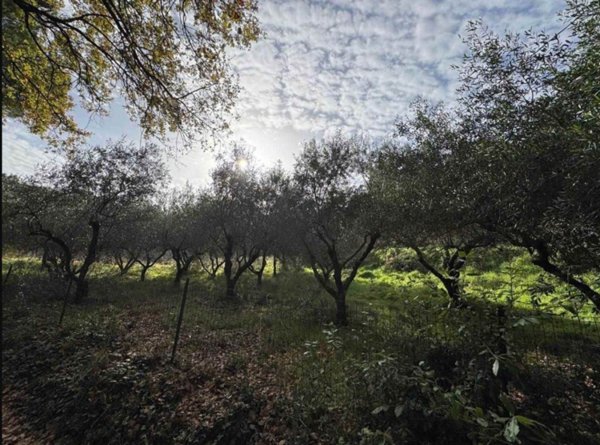 casa indipendente in vendita a Casale Marittimo