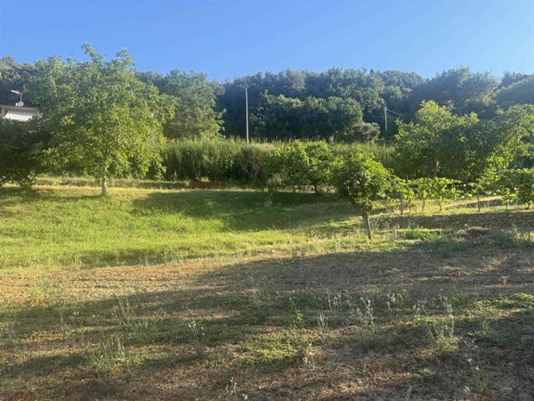 casa indipendente in vendita a Casale Marittimo