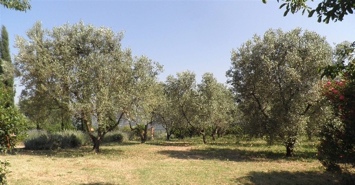 casa indipendente in vendita a Casale Marittimo
