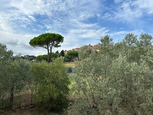 casa indipendente in vendita a Casale Marittimo