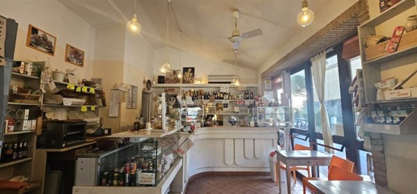 negozio in vendita a Casale Marittimo