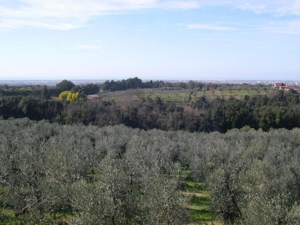 casa indipendente in vendita a Casale Marittimo