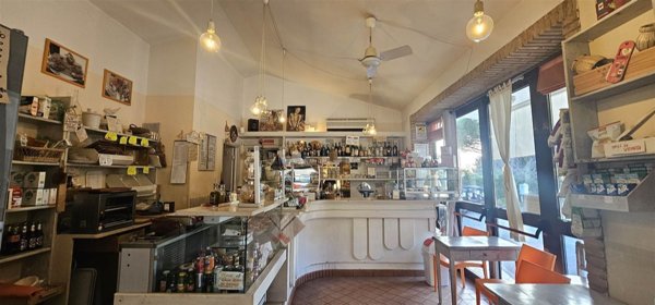 negozio in vendita a Casale Marittimo