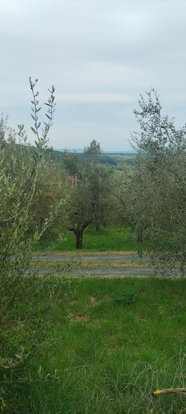 casa indipendente in vendita a Casale Marittimo