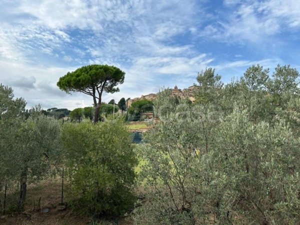 casa indipendente in vendita a Casale Marittimo