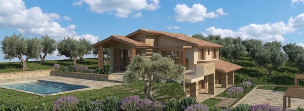 terreno agricolo in vendita a Casale Marittimo