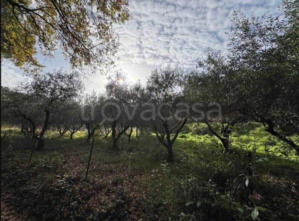 casa indipendente in vendita a Casale Marittimo