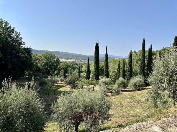 casa indipendente in vendita a Casale Marittimo