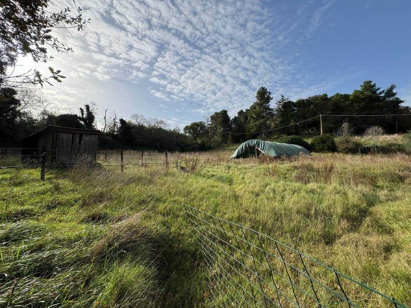 terreno in vendita a Casale Marittimo