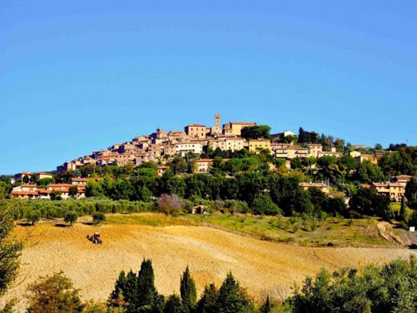 terreno in vendita a Casale Marittimo