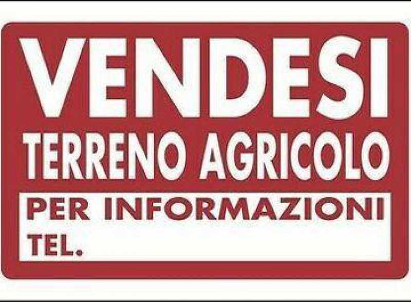 terreno agricolo in vendita a Cascina in zona Navacchio