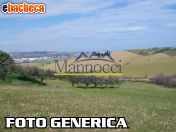 terreno agricolo in vendita a Cascina in zona Navacchio