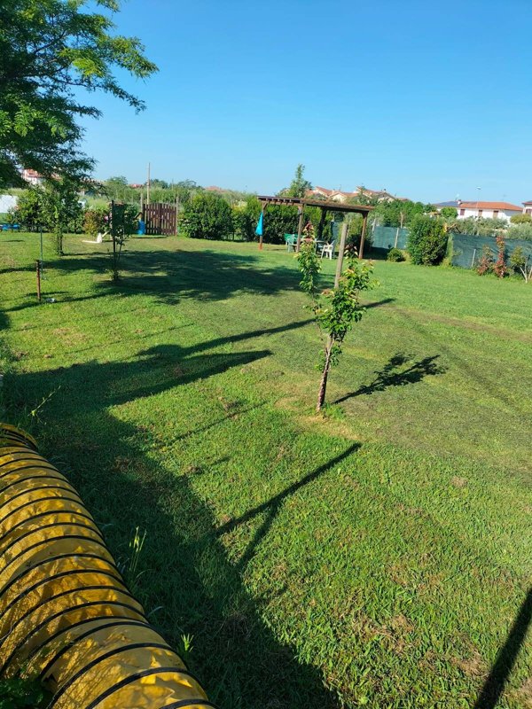 terreno agricolo in vendita a Cascina in zona San Lorenzo alle Corti