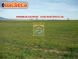 terreno agricolo in vendita a Cascina in zona Casciavola