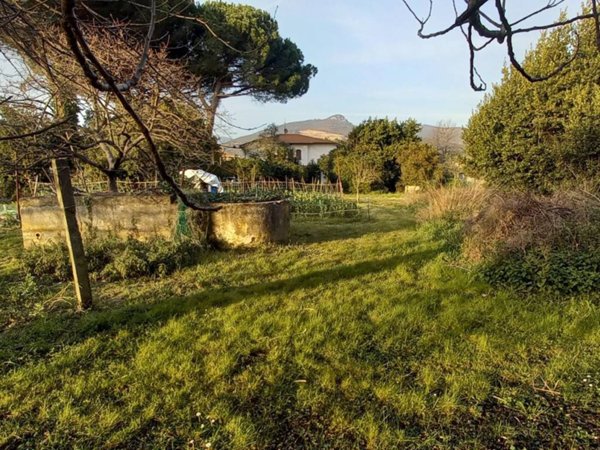 casa indipendente in vendita a Cascina