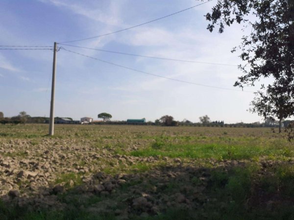 terreno agricolo in vendita a Cascina in zona San Frediano a Settimo