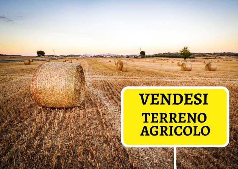 terreno agricolo in vendita a Cascina in zona Latignano