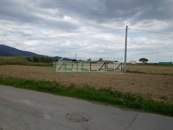 terreno agricolo in vendita a Cascina in zona San Lorenzo a Pagnatico