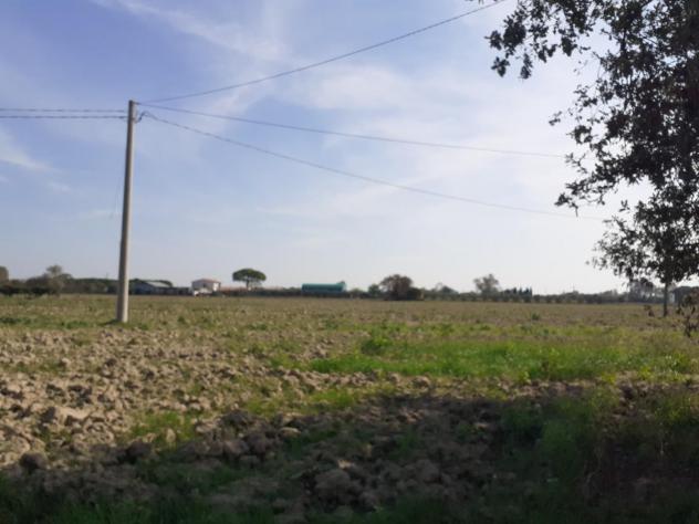 terreno agricolo in vendita a Cascina in zona San Lorenzo a Pagnatico